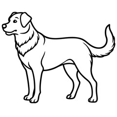 dogs line art vector