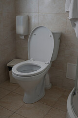 Toilet in the hotel room