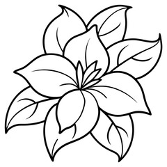 Jasmine line art vector