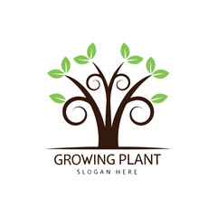 Obraz premium Growing plant vector logo featuring financial growth, wellness and health related branding 