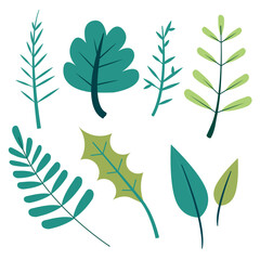 collection of illustrations of natural leaves (자연 나뭇잎 일러스트 모음)