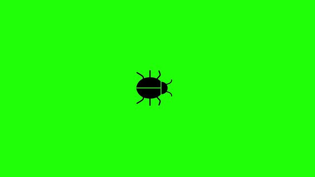Insect line animation.Insects walk from left to rightInsect line animation.Insects walk from lef green background