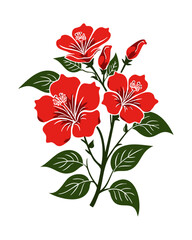 Hibiscus Flower Illustration on Transparent Background for Tropical Designs, PNG 