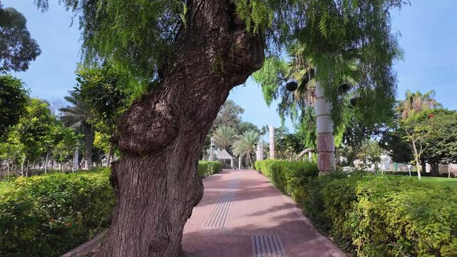 Jardin Olhao Agadir garden park nature Morocco beautiful things to do North Africa