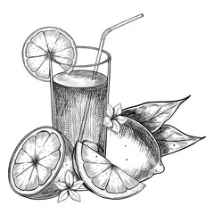 Vector illustration of Glass with Lemon slice, Citrus fruits, ice cubes, and leaves. Vintage botanical engraving of orange drink for summer menus, and food packaging. Linear drawing of cocktail.