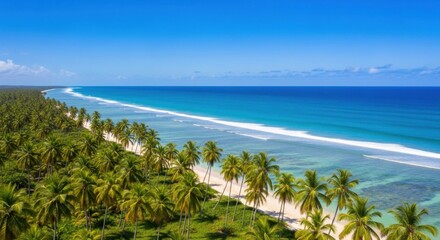 Tropical Paradise Beach with Coconut Palm Trees and Azure Ocean Waves