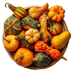 Assorted pumpkins and gourds in wicker basket on white background  
