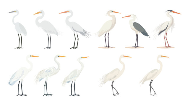 Cute egret vector art illustration in a distinct and whimsical style, featuring a graceful white bird with charming features and artistic flair, perfect for children’s content, decorative prints