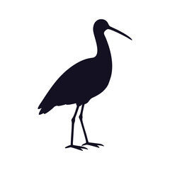 Standing Ibis Bird Silhouette Vector. Wading Bird Icon.
