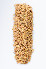 Close-up of paddy rice seeds in detail, paddy rice seeds on white background.