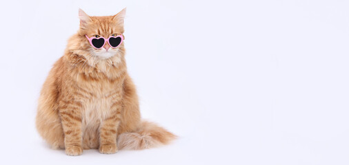 Fluffy ginger cat wearing pink heart-shaped sunglasses, sitting on white background. Cute fashionable pet with a funny look. Perfect for humor, lifestyle, or creative designs.