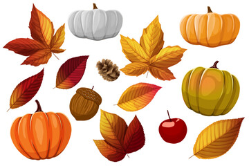 Obraz premium pumpkins,autumn leaves,acorn,rowan,pine cone colorful symbols isolated on the white background vector illustration.autumn festival decor object template.