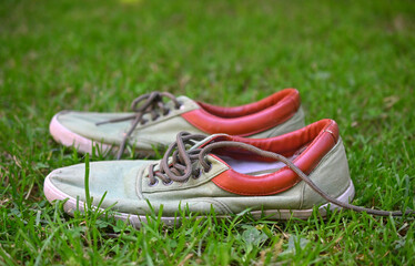 used  canvas sneakers on grass, summer footwear