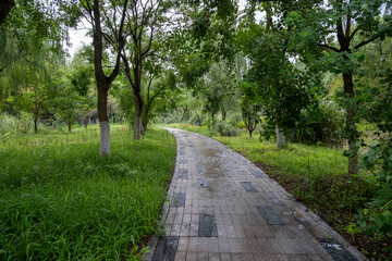 Winding stone pathway through a lush, tree-shaded public park after rainfall. The wet pavement and green vegetation reflect a tranquil, natural urban parkland designed for recreation and walking.