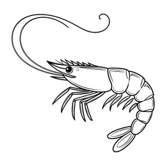 shrimp vector illustration coloring page 