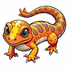 salamander  vector illustration