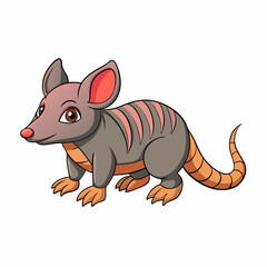 shrew in a white backgrounds