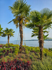  Urlaub Sommerzeit am schönen Bodensee	