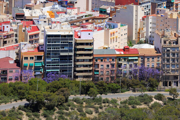 Colorful Residential Buildings and Blooming Jacaranda Trees along Urban Green Belt in Alicante,...