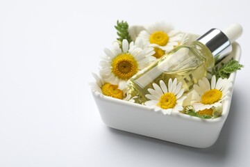 Bottle of essential oil and chamomile flowers on white background, closeup. Space for text