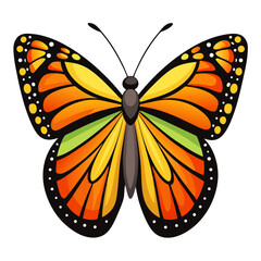 butterfly vector White Background