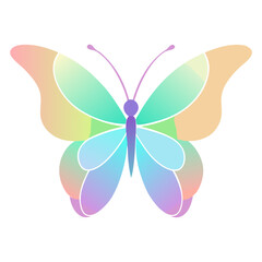 butterfly vector White Background