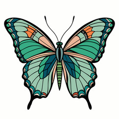 butterfly vector White Background