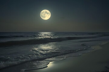 Full Moon Night by the Beach – Tranquil Ocean View Under Moonlight   |   Illustration