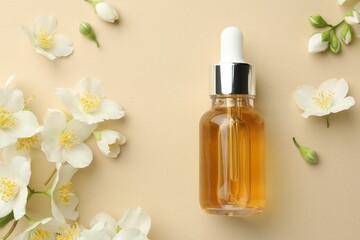 Essential oil and beautiful jasmine flowers on beige background, flat lay