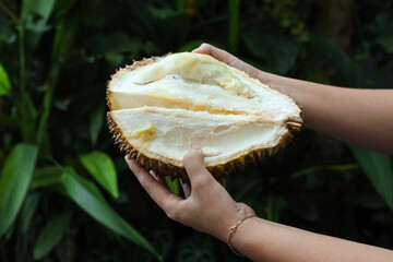 Woman with fresh ripe durian outdoors, closeup