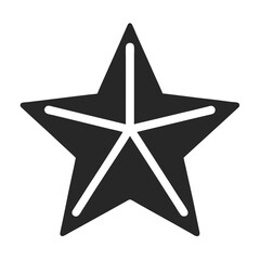 silver star isolated on white