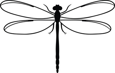 dragonfly vector illustration