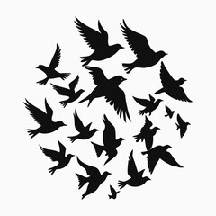 set of birds
