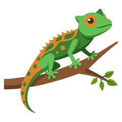 gecko on white background