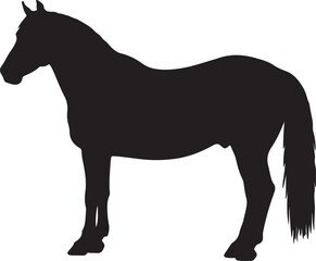 Caspian horse in silhouette vector pure white background.