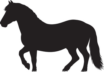 Cavallo Romano della Maremma Laziale in silhouette vector pure white background.