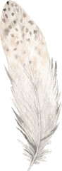 Feather boho chic watercolor illustration clipart
