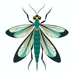 mayfly vector illustration