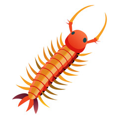 centipede isolated on white background