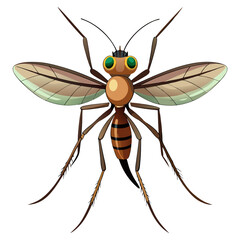 mosquito isolated on white