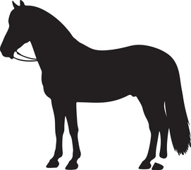 Obraz premium Cheval du Morvan in silhouette vector pure white background.