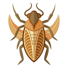 beetle isolated on white background