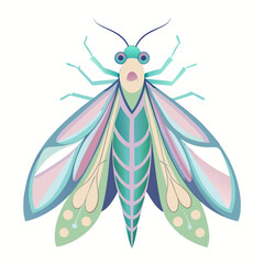 butterfly on a white background