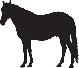 Obraz premium Choctaw Horse in silhouette vector pure white background.