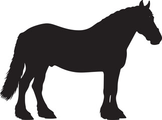 Clydesdale horse in silhouette vector pure white background good.