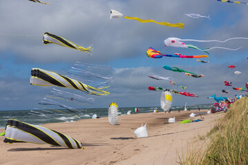 Latawce na plaży w dąbkach. Morze bałtyckie. © Jarosław