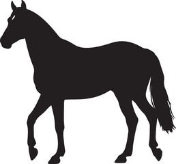 Fototapeta premium Corsican horse in silhouette vector pure white background.