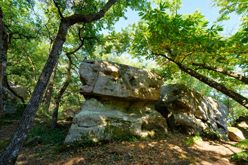  The Horned Rock  point of view in the French Gâtinais Regional Nature Park