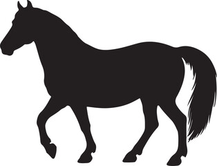 Obraz premium Connemara pony in silhouette vector.