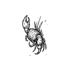 Detailed line art illustration of a crab showcasing intricate patterns and textures against white backdrop, beautiful design